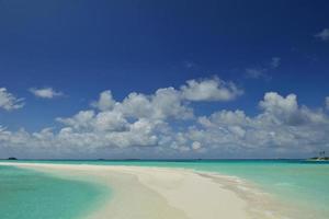 tropical beach landscape photo