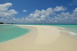 tropical beach landscape photo