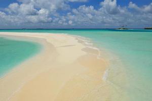 tropical beach landscape photo