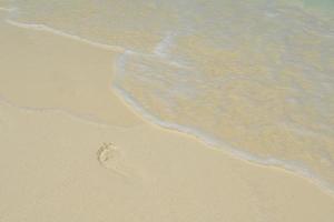 tropical beach landscape photo