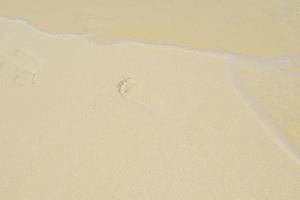 footsteps on beach photo