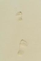 footsteps on beach photo