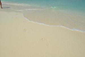 tropical beach landscape photo