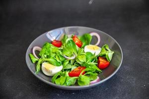 ensalada de huevo tomate vegetal, cebolla, hojas lechuga mezcla verde comida fresca y saludable comida merienda dieta en la mesa espacio de copia fondo de alimentos foto
