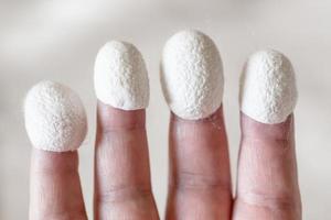 organic silk cocoons dressed on fingertips photo