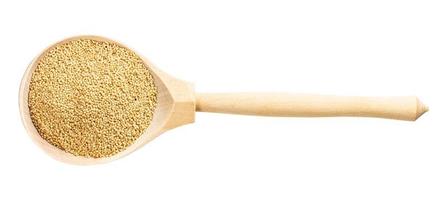 top view of wood spoon with raw amaranth grains photo