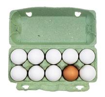 top view of ten chicken eggs in container isolated photo