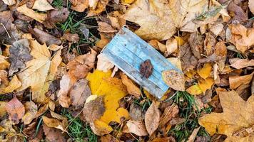 panoramic view of face mask in wet fallen leaves photo