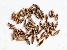 several caraway seeds close up on gray photo