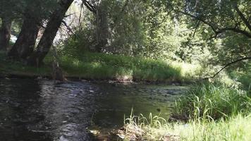 pequeño río rural video