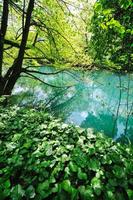 river waterfall wild photo