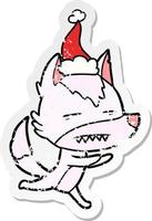 distressed sticker cartoon of a wolf showing teeth wearing santa hat vector