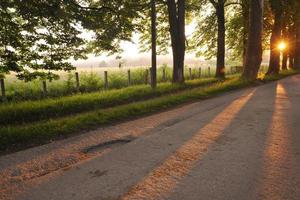 sunrise in beautiful alley photo