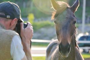 fotógrafo y caballo foto