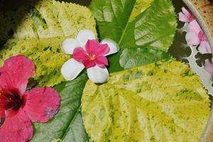 water cup with beautiful flowers background photo