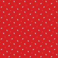 White star and snowflake on red background photo