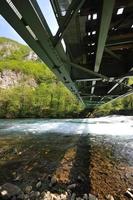 puente río salvaje foto