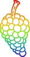 rainbow gradient line drawing cartoon bunch of grapes vector