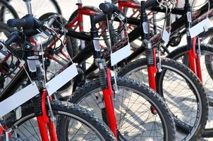 Bicycles for rent photo