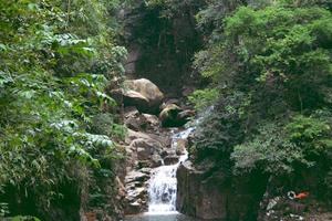 cascada namtok phlio en chanthaburi, tailandia. la cascada más famosa de chanthaburi tiene un gran árbol alrededor de la cascada. foto