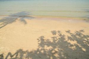 la sombra del cocotero y algún árbol se reflejan en la playa y el mar. instantánea en el lado de la playa. foto