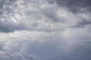 Sunset sky with flying bird, dark gloomy thunderclouds. photo