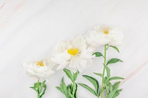 flores de peonía blanca sobre fondo de mármol foto