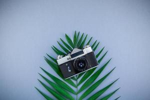 Tropical palm leaf and old photo camera background