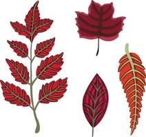 herbal autumn maple rowan leaveshand illustration. Perfect for textile, wallpapers, wrapping paper. Vector illustration