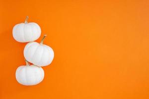 Autumn flat lay composition with white pumpkins photo