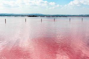 Torrevieja Pink Lake in Alicante, Spain photo