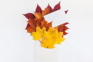 hojas de otoño en maqueta de sobre de papel foto