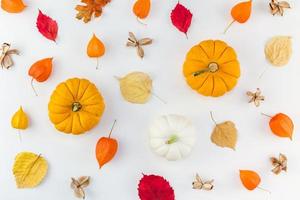 patrón hecho de calabazas flores y hojas secas foto