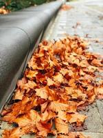 hojas amarillas secas de otoño en la acera de la ciudad foto