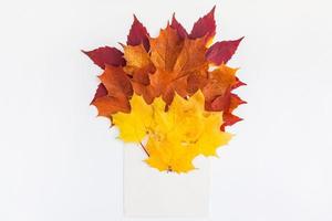 hojas de otoño en maqueta de sobre de papel foto
