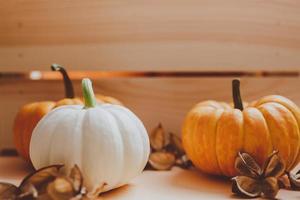 Autumn orange and white pumpkins photo