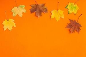 hojas secas de otoño como plantilla de marco foto
