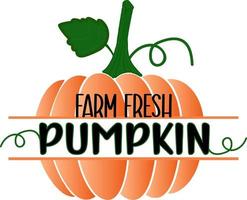 Fall. Farm fresh pumpkin vector