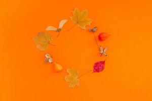 Dry leaves wreath frame on orange color background photo