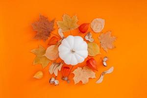Autumn flat lay composition with white pumpkin photo