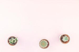 Top view of small pots with decorative cactuses photo