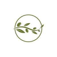 Olive tree vector illustration