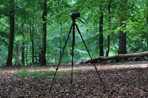 Camera on a tripod standing in a forest with no visible people photo