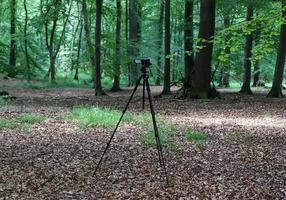 cámara en un trípode de pie en un bosque sin gente visible foto