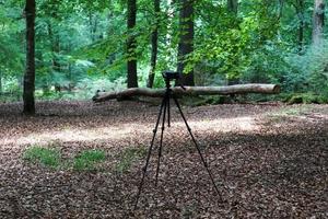 Camera on a tripod standing in a forest with no visible people photo