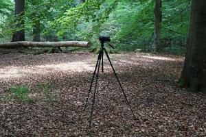 Camera on a tripod standing in a forest with no visible people photo