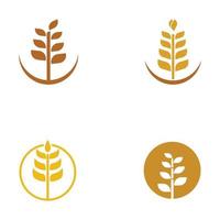 Wheat or cereal logo, wheat field and wheat farm logo.With easy and simple editing illustrations. vector