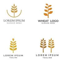 Wheat or cereal logo, wheat field and wheat farm logo.With easy and simple editing illustrations. vector