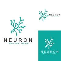 Neuron logo or nerve cell logo with concept vector illustration template.