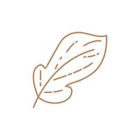 Asthetic leaf with outline vector